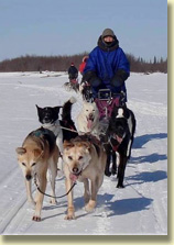 Christine mit Schlittenhunde-Team