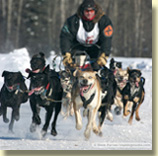 Andi Hütten - Open North American Championship 2007